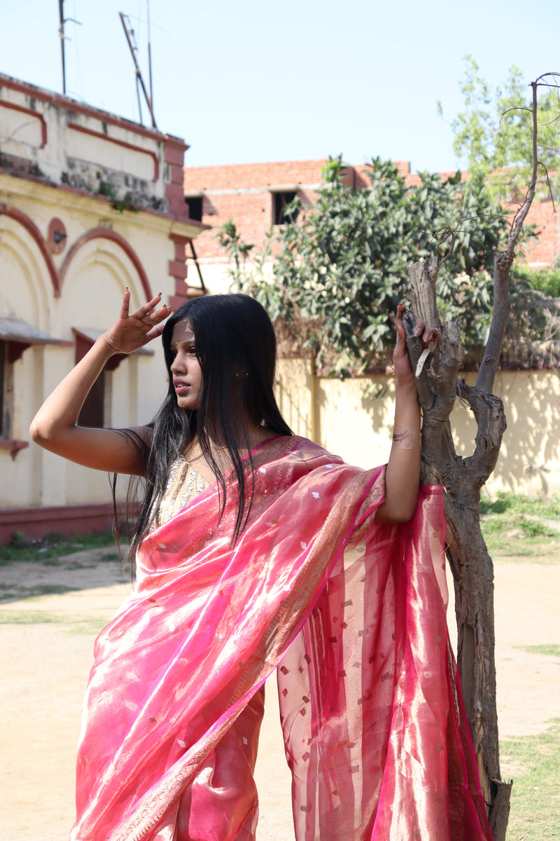 Raspberry tissue organza saree