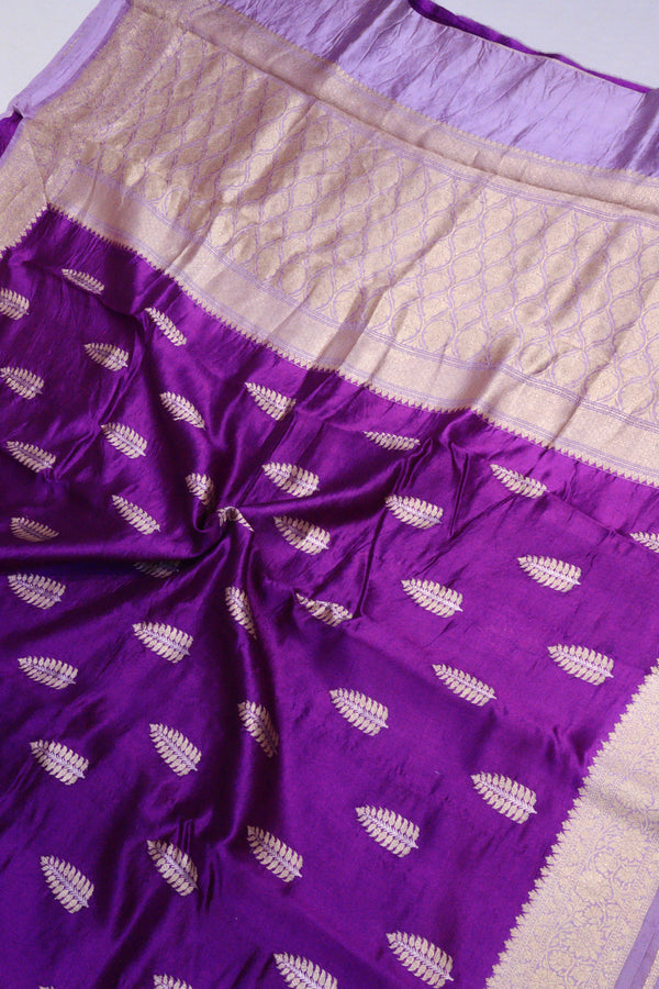 Purple Katan Silk With Contrasting Border