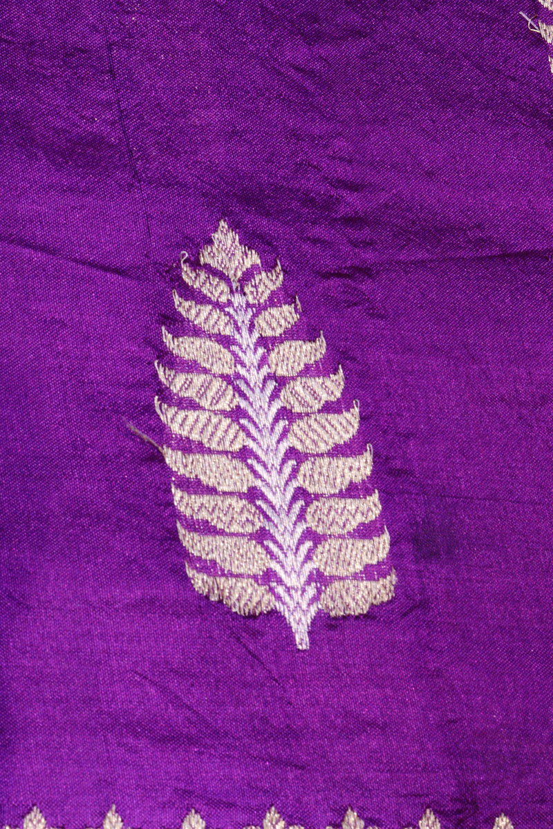 Purple Katan Silk With Contrasting Border