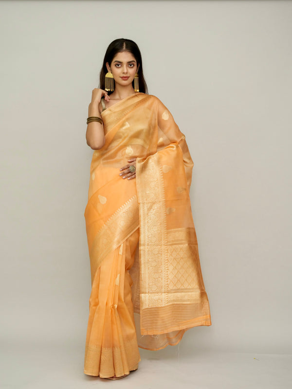 Coral Pure Organza Saree