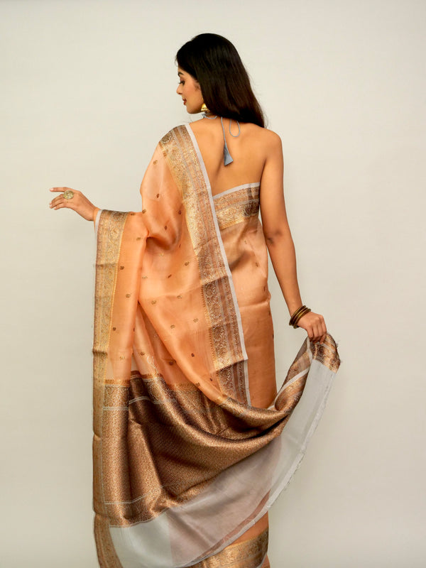 Rust Orange Pure Organza Saree