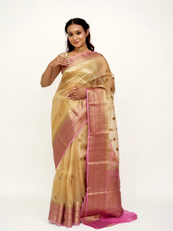 Organza Brown Beige Pink Banarasi Saree