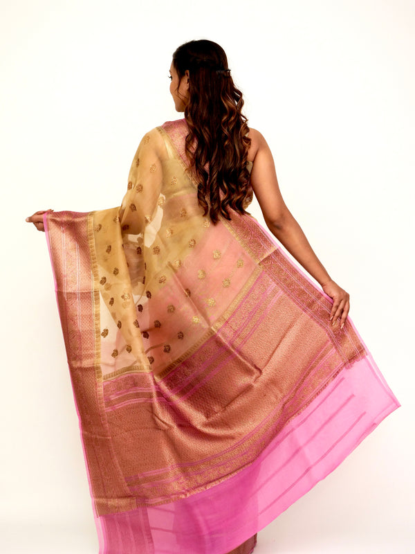 Organza Brown Beige Pink Banarasi Saree