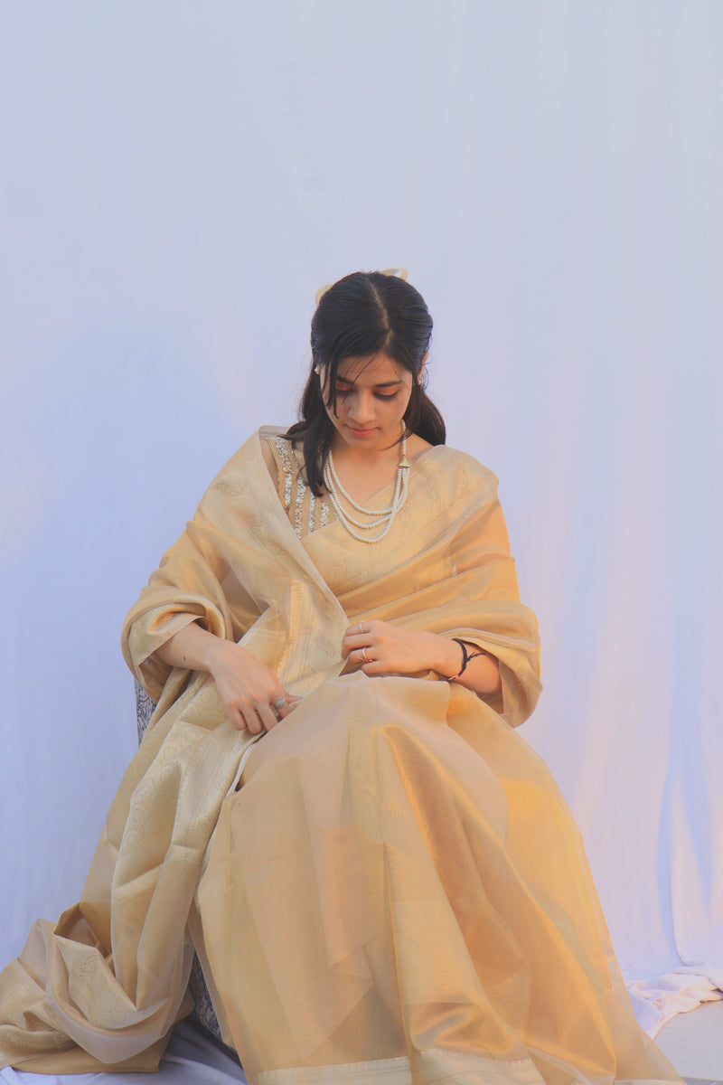 Golden Tissue Saree